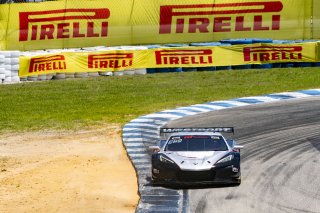 #50 Chevrolet Corvette Z06 GT3.R  of Ross Chouest, Chouest Povoledo Racing, GT America, SRO3, SRO America, Sebring International Raceway, Sebring, FL, May 2025.
 | Brian Cleary/SRO