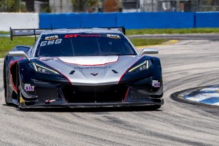 #50 Chevrolet Corvette Z06 GT3.R  of Ross Chouest, Chouest Povoledo Racing, GT America, SRO3, SRO America, Sebring International Raceway, Sebring, FL, May 2025.
 | Brian Cleary/SRO