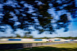 #56 Audi R8 LMS GT3 EVOII of Memo Gidley, SKI Autosports, GT America, SRO3, SRO America, Sebring International Raceway, Sebring, FL, May 2025.
 | Brian Cleary/SRO