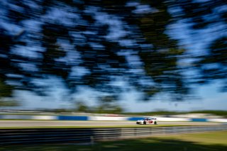 #56 Audi R8 LMS GT3 EVOII of Memo Gidley, SKI Autosports, GT America, SRO3, SRO America, Sebring International Raceway, Sebring, FL, May 2025.
 | Brian Cleary/SRO