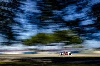 #56 Audi R8 LMS GT3 EVOII of Memo Gidley, SKI Autosports, GT America, SRO3, SRO America, Sebring International Raceway, Sebring, FL, May 2025.
 | Brian Cleary/SRO