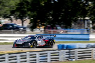 #50 Chevrolet Corvette Z06 GT3.R  of Ross Chouest, Chouest Povoledo Racing, GT America, SRO3, SRO America, Sebring International Raceway, Sebring, FL, May 2025.
 | Brian Cleary/SRO