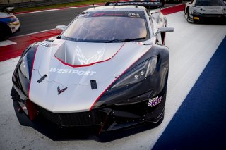#50 Chevrolet Corvette Z06 GT3.R  of Ross Chouest, Chouest Povoledo Racing, GT America, SRO3, SRO America, Circuit fo the Americas, Austin, TX, April 2025.
 | Brian Cleary/SRO
