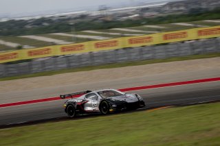 #50 Chevrolet Corvette Z06 GT3.R  of Ross Chouest, Chouest Povoledo Racing, GT America, SRO3, SRO America, Circuit fo the Americas, Austin, TX, April 2025.
 | Brian Cleary/SRO