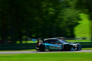 #29 BMW M4 GT3 of Justin Rothberg, Turner Motorsport, GT America, SRO3, SRO America, VIRginia International Raceway, alton, VA, July 2025.
 | Rick Houghton/SRO               