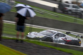 #50 Chevrolet Corvette Z06 GT3.R  of Ross Chouest, Chouest Povoledo Racing, GT America, SRO3, SRO America, Road America, Elkhart Lake, WI, August 2025.
 | Brian Cleary/SRO
