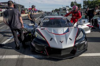 #50 Chevrolet Corvette Z06 GT3.R  of Ross Chouest, Chouest Povoledo Racing, GT America, SRO3, SRO America, Road America, Elkhart Lake, WI, August 2025.
 | Brian Cleary/SRO