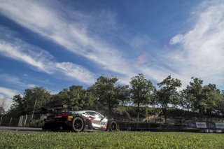 #50 Chevrolet Corvette Z06 GT3.R  of Ross Chouest, Chouest Povoledo Racing, GT America, SRO3, SRO America, Road America, Elkhart Lake, WI, August 2025.
 | Brian Cleary/SRO