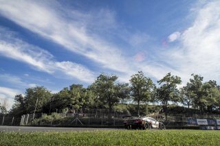 SRO America, Road America, Elkhart Lake, WI, August 2025.
 | Brian Cleary/SRO