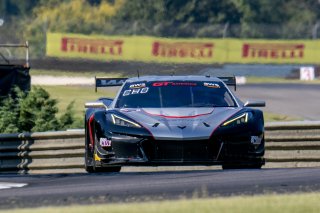 #50 Chevrolet Corvette Z06 GT3.R  of Ross Chouest, Chouest Povoledo Racing, GT America, SRO3, SRO America, Barber Motorsports Park, Leeds, AL, September 2025.
 | Brian Cleary/SRO