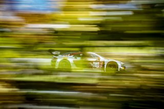 #56 Audi R8 LMS GT3 EVOII of Memo Gidley, SKI Autosports, GT America, SRO3, SRO America, Barber Motorsports Park, Leeds, AL, September 2025.
 | Brian Cleary/SRO