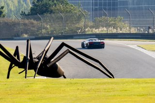 #50 Chevrolet Corvette Z06 GT3.R  of Ross Chouest, Chouest Povoledo Racing, GT America, SRO3, SRO America, Barber Motorsports Park, Leeds, AL, September 2025.
 | Brian Cleary/SRO