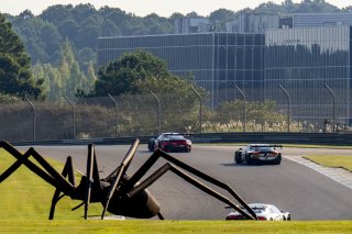 #19 Porsche 992 GT3R of Joel Cortes, Esses Racing, GT America, SRO3. SRO America, Barber Motorsports Park, Leeds, AL, September 2025.
 | Brian Cleary/SRO
