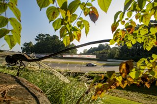 #56 Audi R8 LMS GT3 EVOII of Memo Gidley, SKI Autosports, GT America, SRO3, SRO America, Barber Motorsports Park, Leeds, AL, September 2025.
 | Brian Cleary/SRO