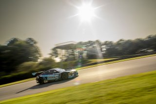 #29 BMW M4 GT3 of Justin Rothberg, Turner Motorsport, GT America, SRO3, SRO America, Barber Motorsports Park, Leeds, AL, September 2025.
 | Brian Cleary/SRO