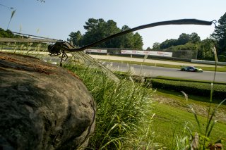 #11 Chevrolet Corvette Z06 GT3.R  of Blake McDonald, DXDT Racing, GT America, SRO3, SRO America, Barber Motorsports Park, Leeds, AL, September 2025.
 | Brian Cleary/SRO