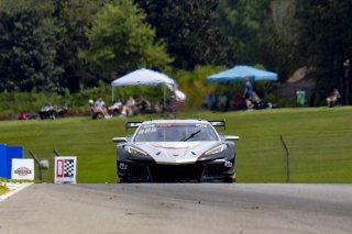 #50 Chevrolet Corvette Z06 GT3.R  of Ross Chouest, Chouest Povoledo Racing, GT America, SRO3, SRO America, Barber Motorsports Park, Leeds, AL, September 2025.
 | Brian Cleary/SRO