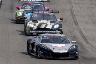 #50 Chevrolet Corvette Z06 GT3.R  of Ross Chouest, Chouest Povoledo Racing, GT America, SRO3, SRO America, Barber Motorsports Park, Leeds, AL, September 2025.
 | Brian Cleary/SRO