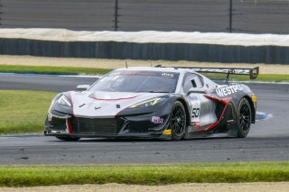 #50 Chevrolet Corvette Z06 GT3.R  of Ross Chouest, Chouest Povoledo Racing, GT America, SRO3, SRO America, Indianapolis Motor Speedway, Sonoma, CA, March 2025.
 | Brian Cleary/SRO