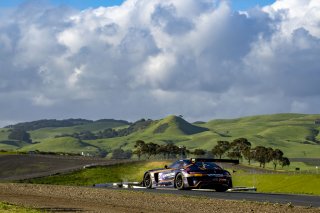 #04 Mercedes-AMG GT3 of  George Kurtz, Crowdstrike by Riley, GT America, SRO  3, SRO America, Sonoma Raceway, Sonoma, CA, March 2025.
 | Brian Cleary/SRO