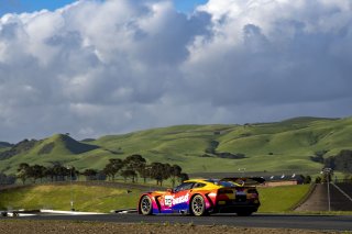 #70 Callaway Corvette Z06R GT3 of Mirco Schultis, MISHUMOTORS, GT America, SRO3, SRO America, Sonoma Raceway, Sonoma, CA, March 2025.
 | Brian Cleary/SRO