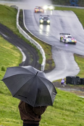 SRO America, Sonoma Raceway, Sonoma, CA, March 2025.
 | Brian Cleary/SRO
