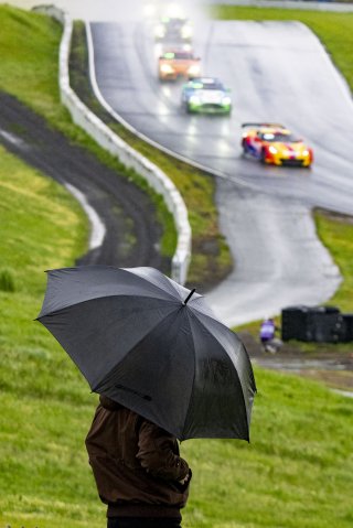 SRO America, Sonoma Raceway, Sonoma, CA, March 2025.
 | Brian Cleary/SRO