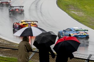 SRO America, Sonoma Raceway, Sonoma, CA, March 2025.
 | Brian Cleary/SRO