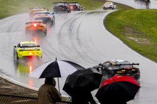 Safety Car, SRO America, Sonoma Raceway, Sonoma, CA, March 2025.
 | Brian Cleary/SRO