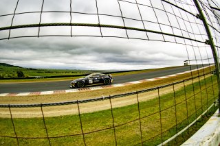 #007 Aston Martin Vantage AMR GT4 of Ted Savage, ProCompetition, GT America, GT4, SRO America, Sonoma Raceway, Sonoma, CA, March 2025.
 | Brian Cleary/SRO