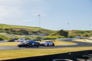  | Andrew Miterko Photography LLC &copy;2026