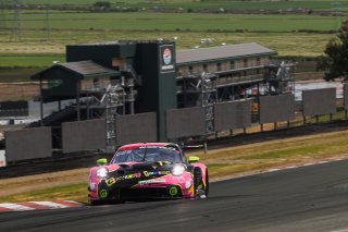 #13 Porsche 911 GT3-R (992) of Todd Parriott, 2026, CA, GT America, Kellymoss, Mar 27 - 29, SRO America, SRO3, Sonoma, Sonoma Raceway
 | Andrew Miterko Photography LLC &copy;2026