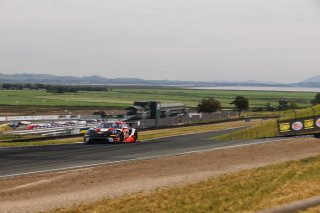 #19 Porsche 911 GT3-R (992) of Joel Cortes, 2026, CA, GT America, Mar 27 - 29, RS1, SRO America, SRO3, Sonoma, Sonoma Raceway
 | Andrew Miterko Photography LLC &copy;2026