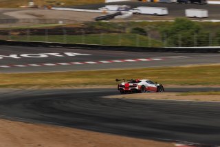 #04 Ferrari 296 GT3 of Tony Davis, 2026, CA, GT America, HP-TECH Motorsport, Mar 27 - 29, SRO America, SRO3, Sonoma, Sonoma Raceway
 | Andrew Miterko Photography LLC &copy;2026
