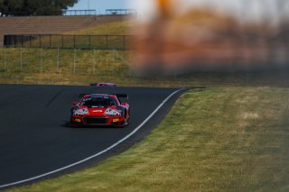 #56 Audi R8 LMS GT3 EVOII of Memo Gidley, SKI AUTOSPORTS, GT America, SRO3, SRO America, Sonoma Raceway, Sonoma, CA, Mar 27 - 29, 2026
 | Andrew Miterko Photography LLC &copy;2026