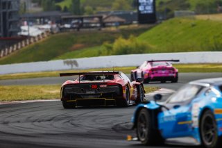 #013 Ferrari 296 GT3 of Marc Muzzo, R. Ferri Motorsport, GT America, SRO3, SRO America, Sonoma Raceway, Sonoma, CA, Mar 27 - 29, 2026
 | Andrew Miterko Photography LLC &copy;2026