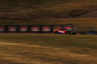 #70 Callaway Corvette Z06R GT3 of Mirco Schultis, MISHUMOTORS, GT America, SRO3, SRO America, Sonoma Raceway, Sonoma, CA, Mar 27 - 29, 2026
 | SRO Motorsports Group