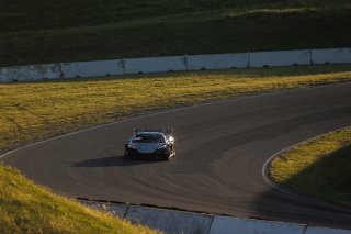 #50 Chevrolet Corvette Z06 GT3.R of Ross Chouest, Chouest Povoledo Racing, GT America, SRO3, SRO America, Sonoma Raceway, Sonoma, CA, Mar 27 - 29, 2026
 | Andrew Miterko Photography LLC &copy;2026