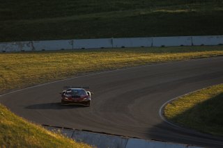 #013 Ferrari 296 GT3 of Marc Muzzo, R. Ferri Motorsport, GT America, SRO3, SRO America, Sonoma Raceway, Sonoma, CA, Mar 27 - 29, 2026
 | Andrew Miterko Photography LLC &copy;2026