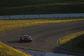 #013 Ferrari 296 GT3 of Marc Muzzo, R. Ferri Motorsport, GT America, SRO3, SRO America, Sonoma Raceway, Sonoma, CA, Mar 27 - 29, 2026
 | Andrew Miterko Photography LLC &copy;2026