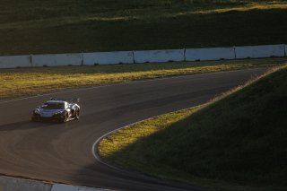 #50 Chevrolet Corvette Z06 GT3.R of Ross Chouest, Chouest Povoledo Racing, GT America, SRO3, SRO America, Sonoma Raceway, Sonoma, CA, Mar 27 - 29, 2026
 | Andrew Miterko Photography LLC &copy;2026