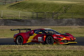 #013 Ferrari 296 GT3 of Marc Muzzo, R. Ferri Motorsport, GT America, SRO3, SRO America, Sonoma Raceway, Sonoma, CA, Mar 27 - 29, 2026
 | Fabian Lagunas&copy;2026