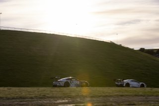 #017 Porsche 911 GT3-R (992) of Michael Clark, Kellymoss, GT America, SRO3, SRO America, Sonoma Raceway, Sonoma, CA, Mar 27 - 29, 2026
 | Fabian Lagunas&copy;2026