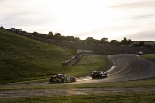 #13 Porsche 911 GT3-R (992) of Todd Parriott, Kellymoss, GT America, SRO3, SRO America, Sonoma Raceway, Sonoma, CA, Mar 27 - 29, 2026
 | Fabian Lagunas&copy;2026