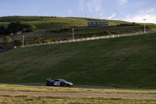 #50 Chevrolet Corvette Z06 GT3.R of Ross Chouest, Chouest Povoledo Racing, GT America, SRO3, SRO America, Sonoma Raceway, Sonoma, CA, Mar 27 - 29, 2026
 | Fabian Lagunas&copy;2026