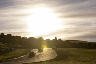 #013 Ferrari 296 GT3 of Marc Muzzo, R. Ferri Motorsport, GT America, SRO3, SRO America, Sonoma Raceway, Sonoma, CA, Mar 27 - 29, 2026
 | Fabian Lagunas&copy;2026