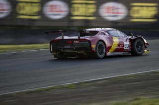 #013 Ferrari 296 GT3 of Marc Muzzo, R. Ferri Motorsport, GT America, SRO3, SRO America, Sonoma Raceway, Sonoma, CA, Mar 27 - 29, 2026
 | Fred Hardy | www.echoandorigin.studio &copy;2026