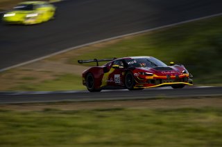 #013 Ferrari 296 GT3 of Marc Muzzo, R. Ferri Motorsport, GT America, SRO3, SRO America, Sonoma Raceway, Sonoma, CA, Mar 27 - 29, 2026
 | Fred Hardy | www.echoandorigin.studio &copy;2026