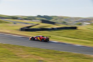 #013 Ferrari 296 GT3 of Marc Muzzo, R. Ferri Motorsport, GT America, SRO3, SRO America, Sonoma Raceway, Sonoma, CA, Mar 27 - 29, 2026
 | Andrew Miterko Photography LLC &copy;2026