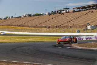 #013 Ferrari 296 GT3 of Marc Muzzo, R. Ferri Motorsport, GT America, SRO3, SRO America, Sonoma Raceway, Sonoma, CA, Mar 27 - 29, 2026
 | Andrew Miterko Photography LLC &copy;2026